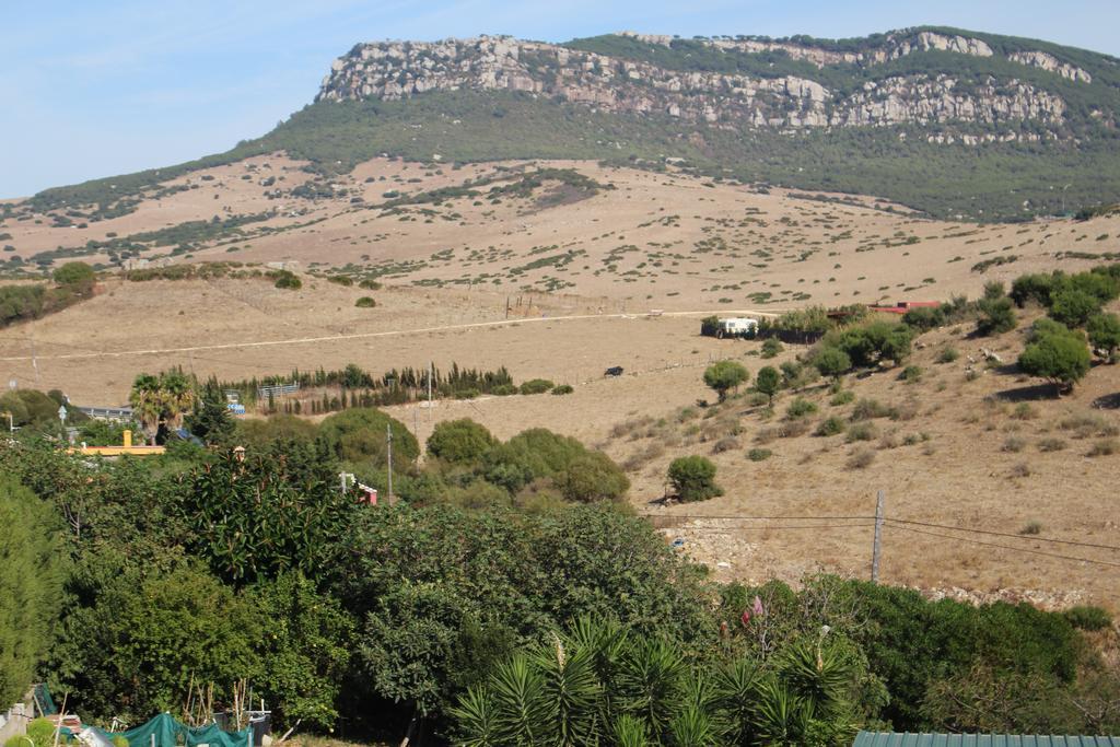 Apartamentos Bolonia Paraiso Dış mekan fotoğraf